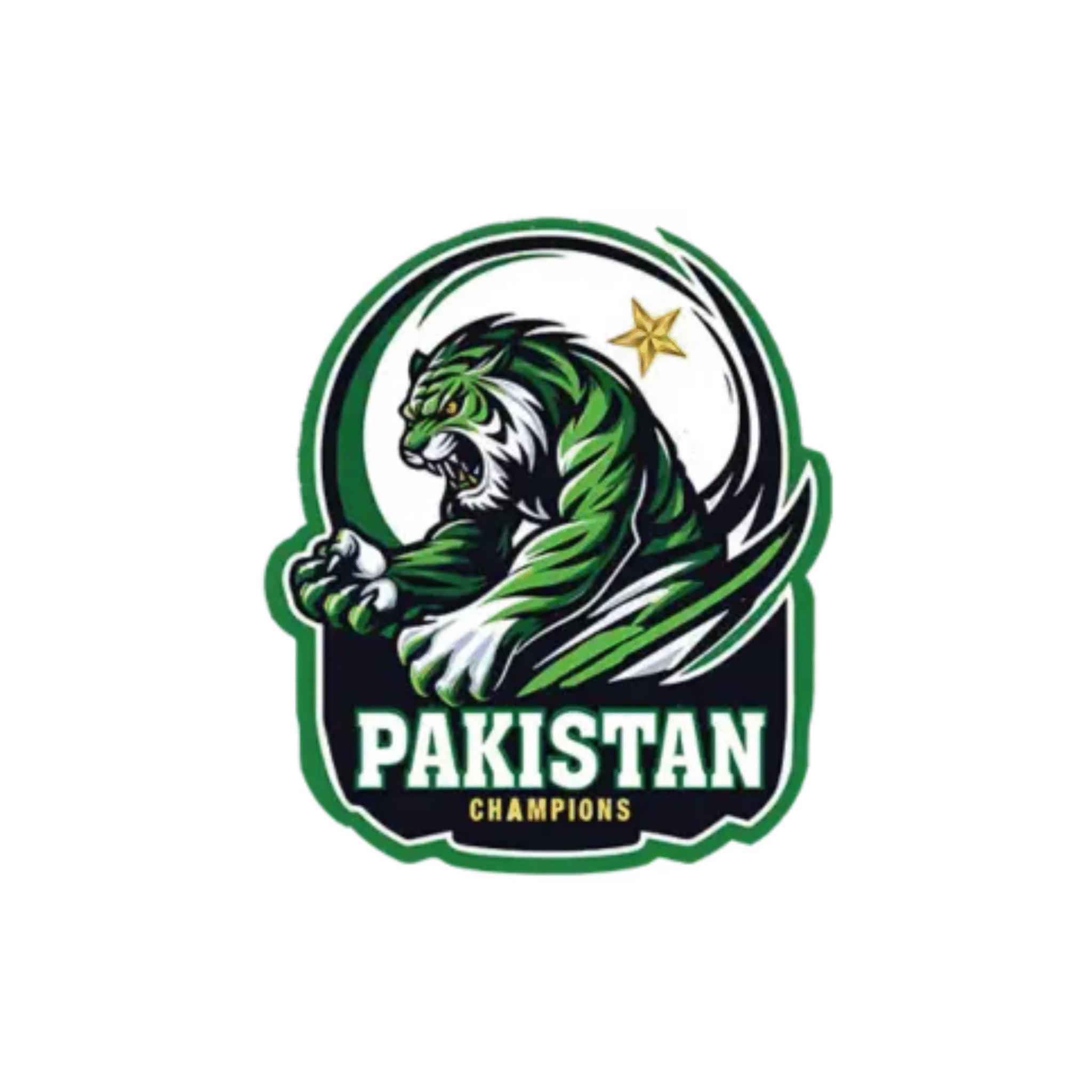 Pakistan-Champions-Team